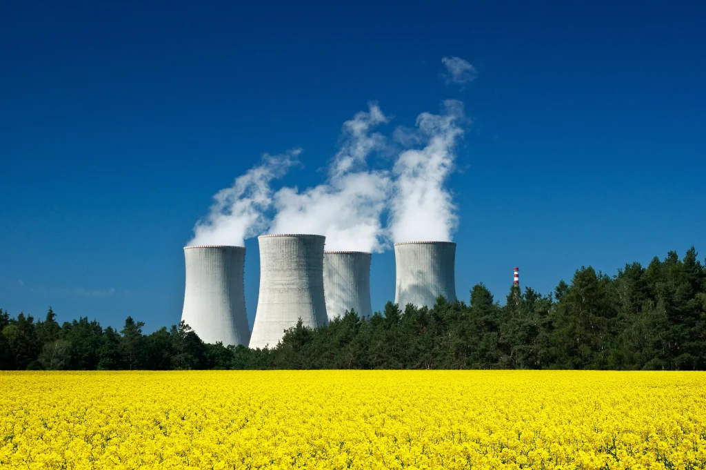 The Role of Nuclear Industry Association
